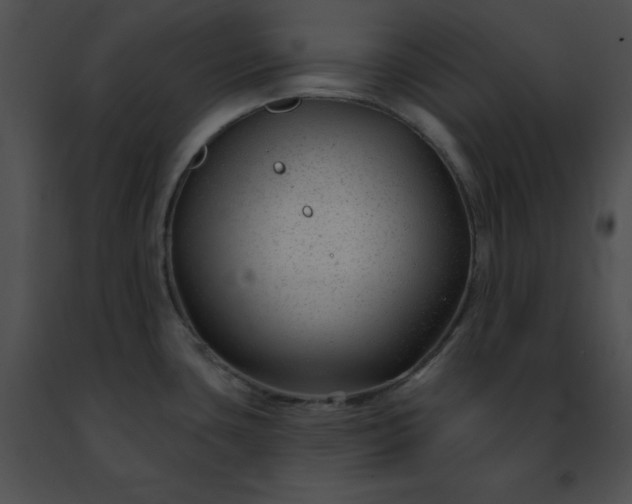 X0000091471435200708301844