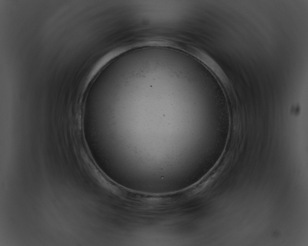 X0000091471436200708301844