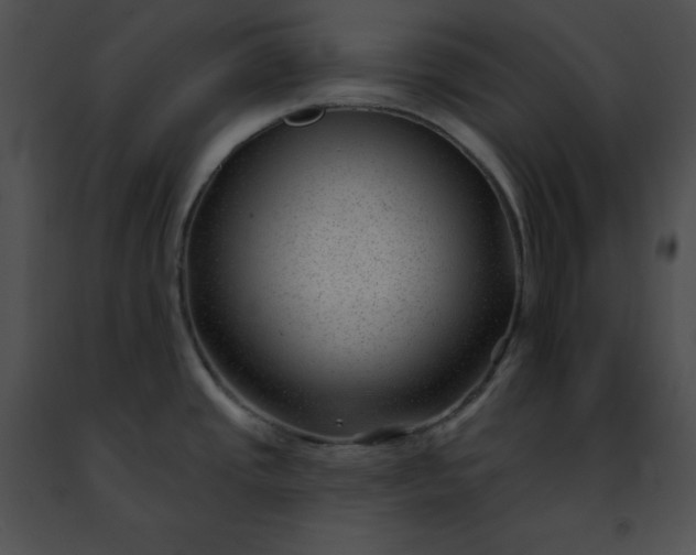 X0000091471437200708301844