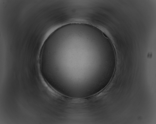 X0000091471440200708301844