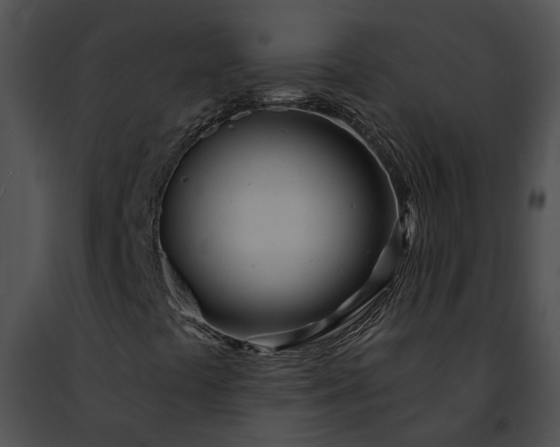 X0000091471441200708301843