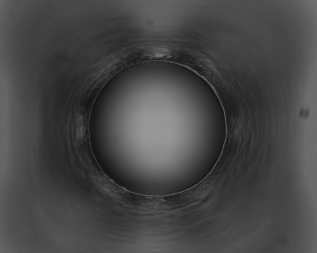 X0000091471442200708301843