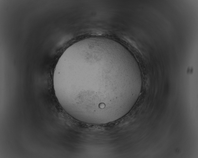 X0000091471446200708301843