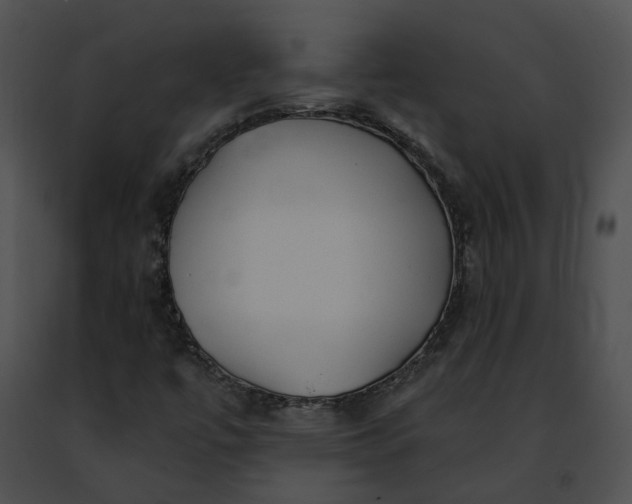 X0000091471447200708301843