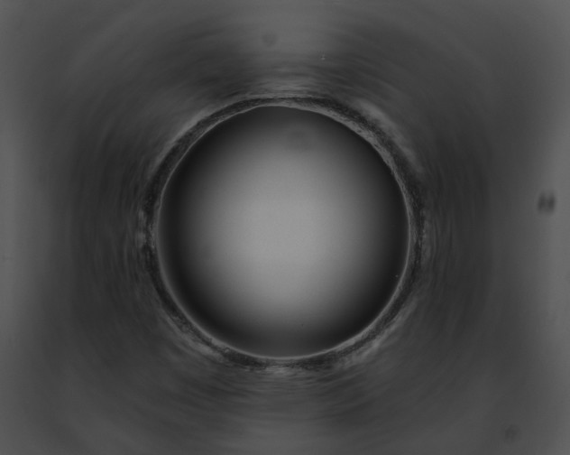 X0000091471449200708301843