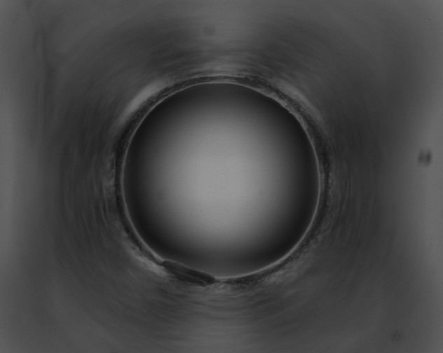 X0000091471450200708301843