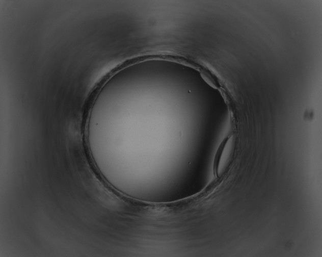 X0000091471452200708301843