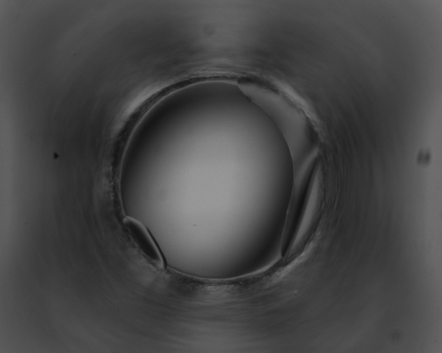 X0000091471453200708301843