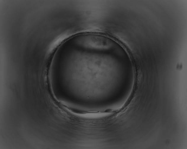 X0000091471455200708301843