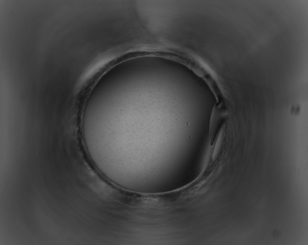 X0000091471456200708301843