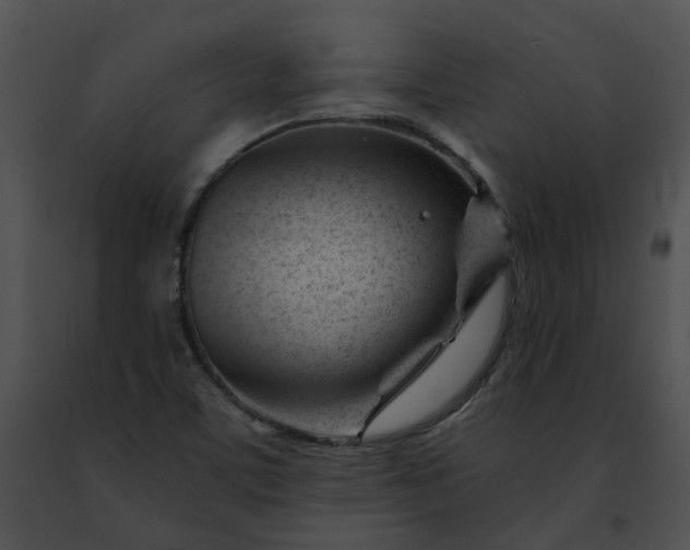 X0000091471459200708301843