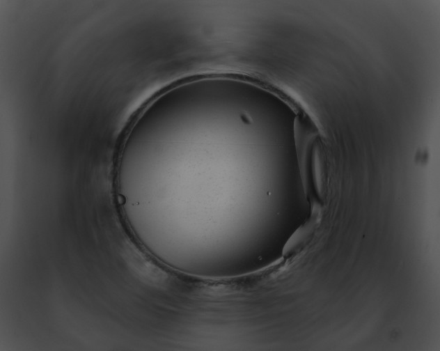 X0000091471460200708301843