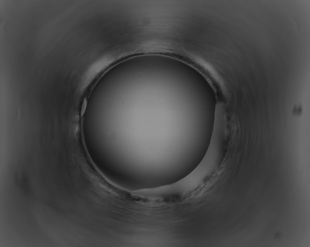 X0000091471461200708301843