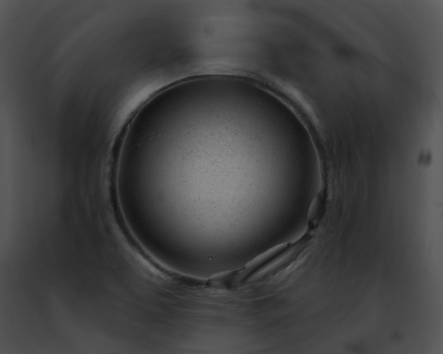 X0000091471463200708301843