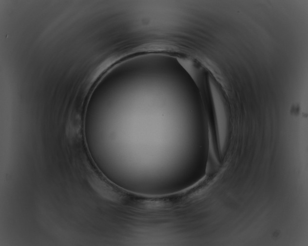 X0000091471465200708301843