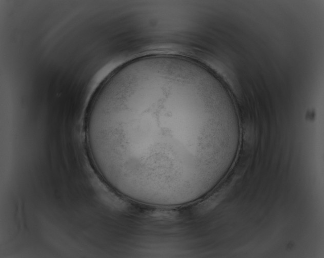 X0000091471466200708301843