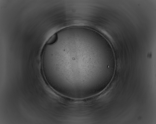 X0000091471467200708301843