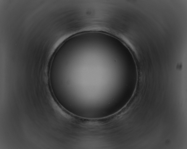 X0000091471468200708301843