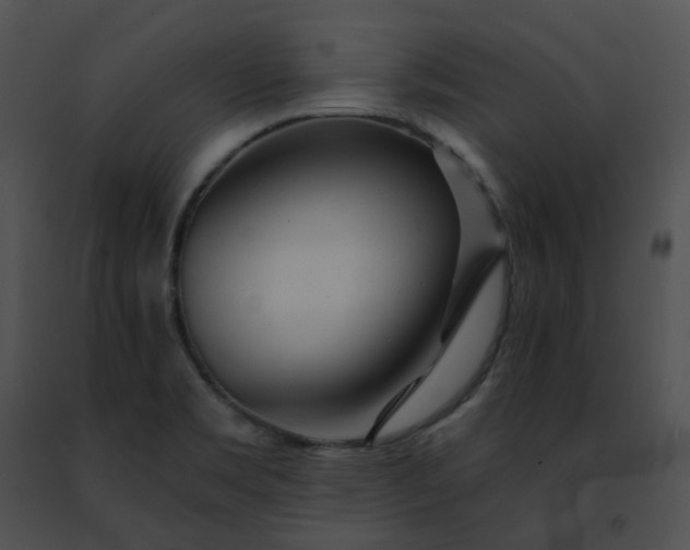 X0000091471469200708301843