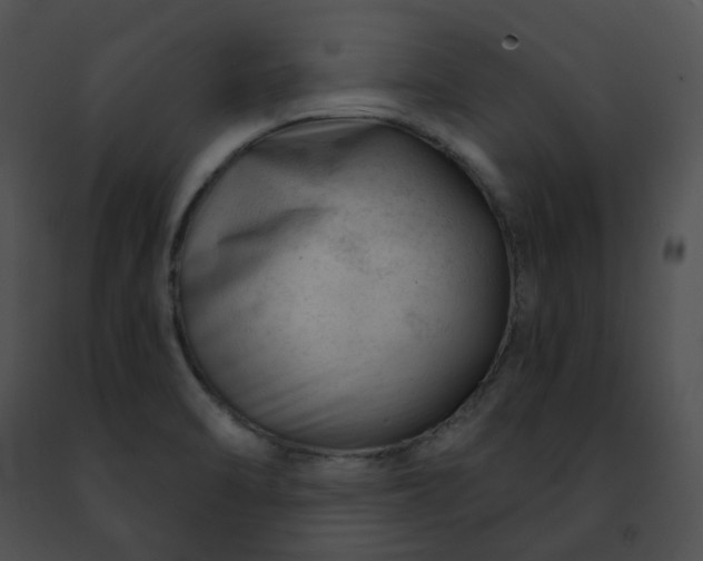 X0000091471470200708301843