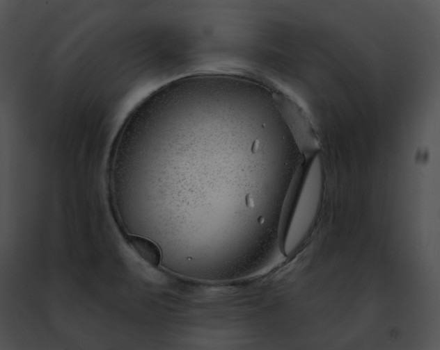 X0000091471471200708301843