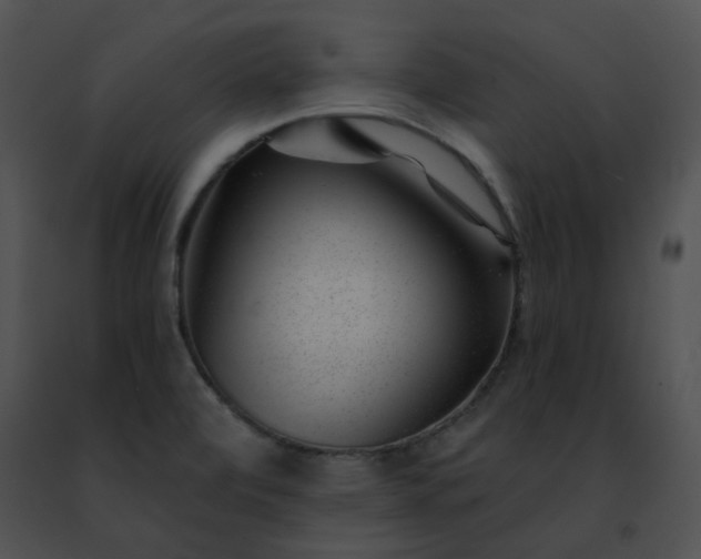 X0000091471472200708301843