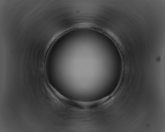 X0000091471473200708301843