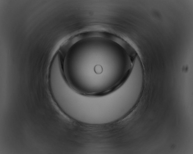 X0000091471477200708301843