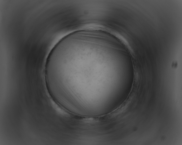 X0000091471478200708301843