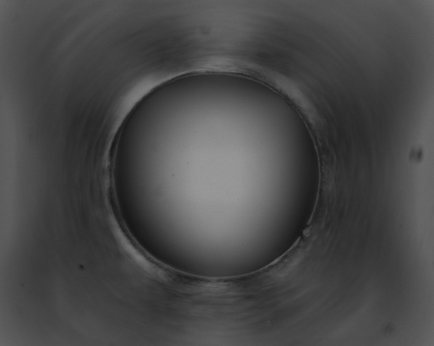 X0000091471479200708301843