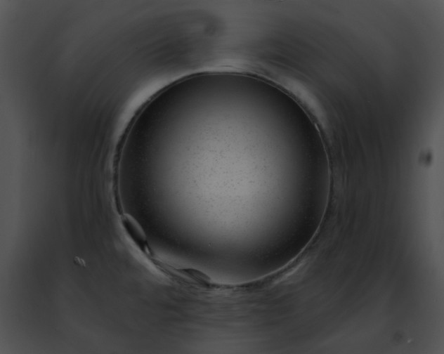 X0000091471480200708301843