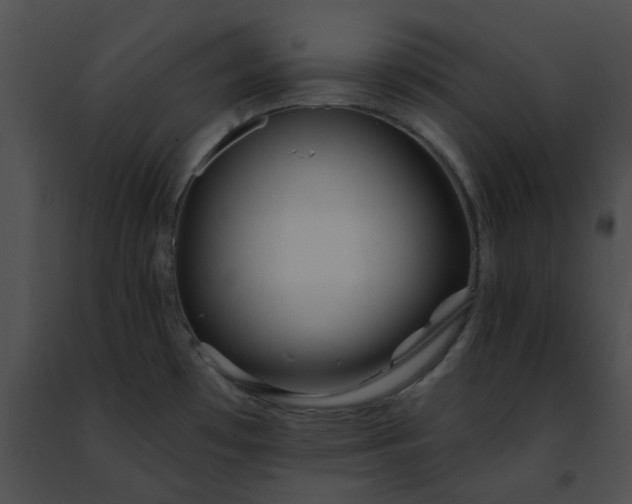 X0000091471481200708301843