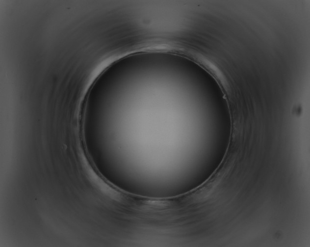 X0000091471483200708301843