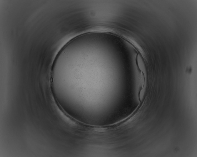 X0000091471484200708301843