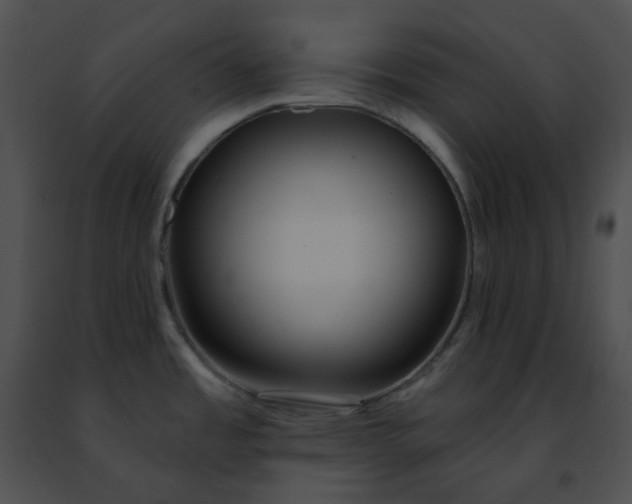 X0000091471485200708301843