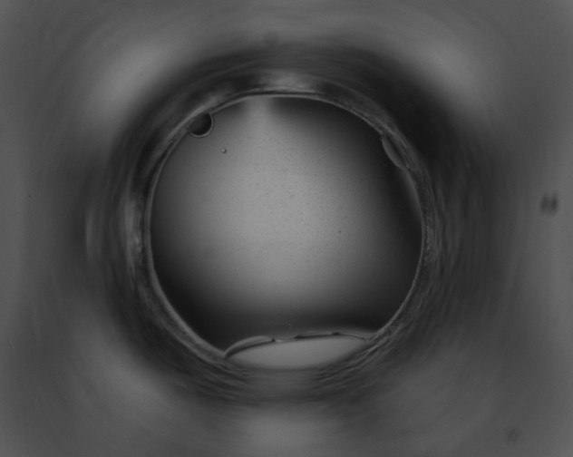 X0000091471487200708301842