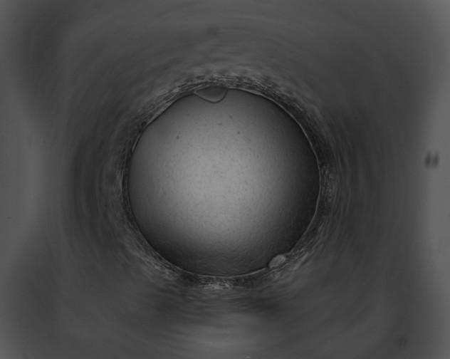 X0000091471489200708301842