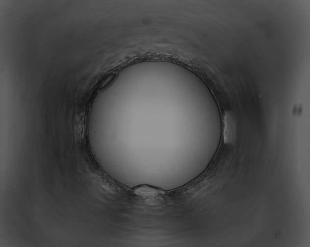 X0000091471491200708301842