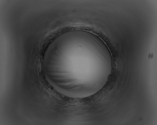 X0000091471493200708301842