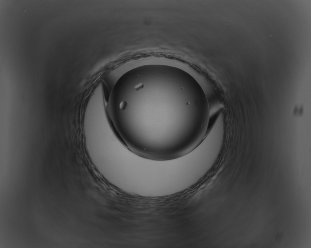 X0000091471494200708301842