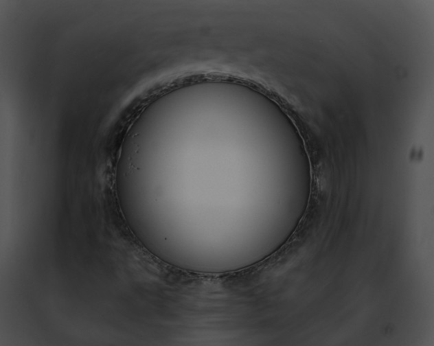 X0000091471495200708301842