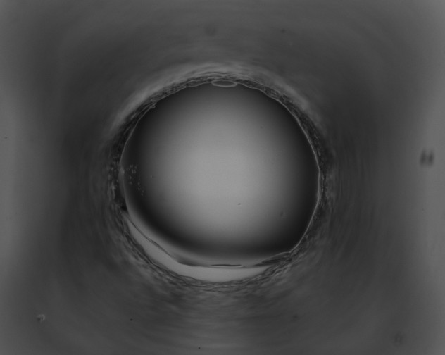 X0000091471496200708301842