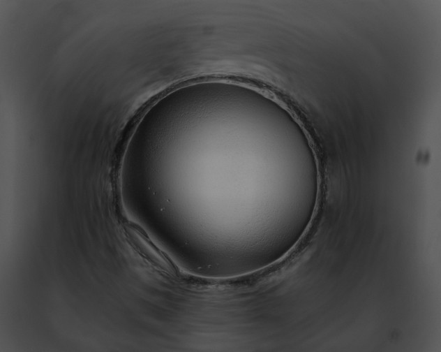 X0000091471497200708301842