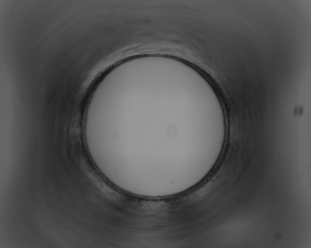 X0000091471498200708301842