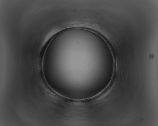 X0000091471501200708301842