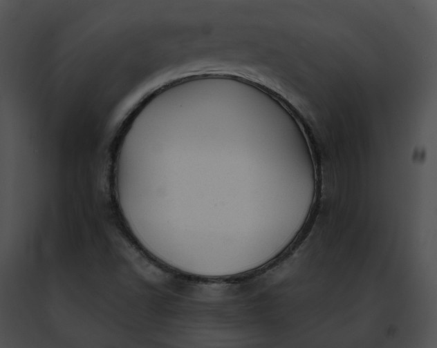 X0000091471502200708301842