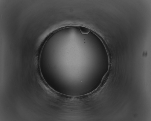 X0000091471503200708301842