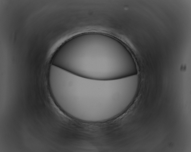 X0000091471504200708301842