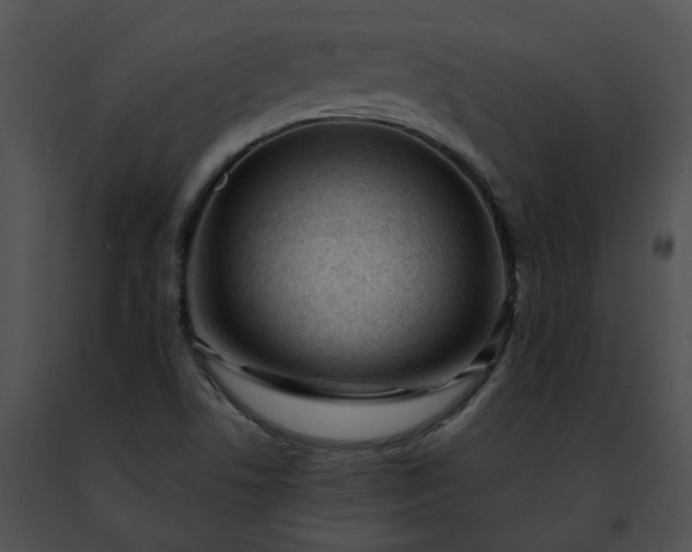 X0000091471506200708301842