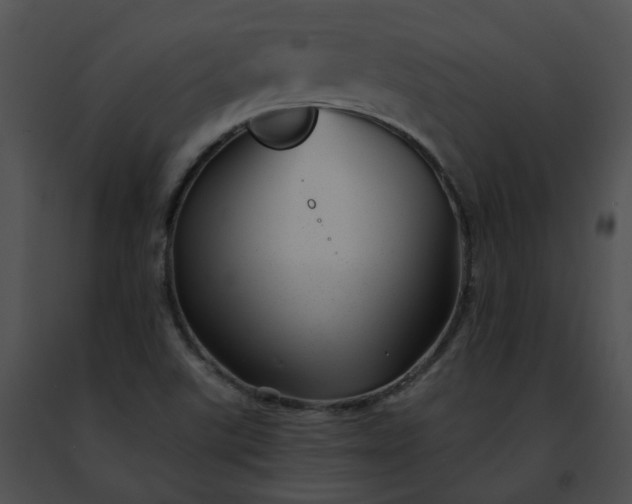 X0000091471507200708301842